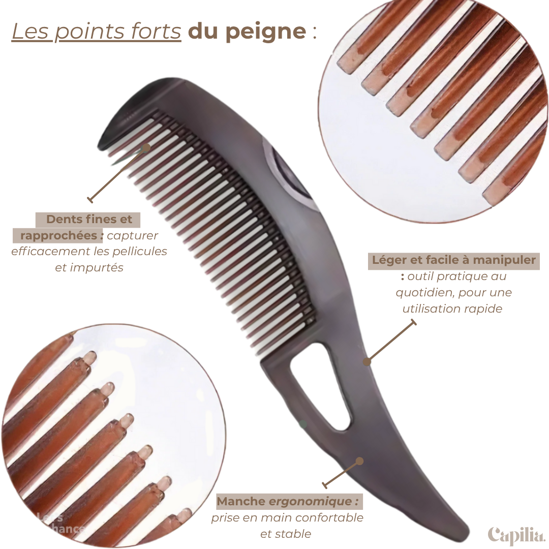 Peigne antipelliculaire